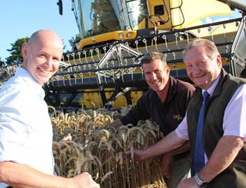 RecordWheatCrop